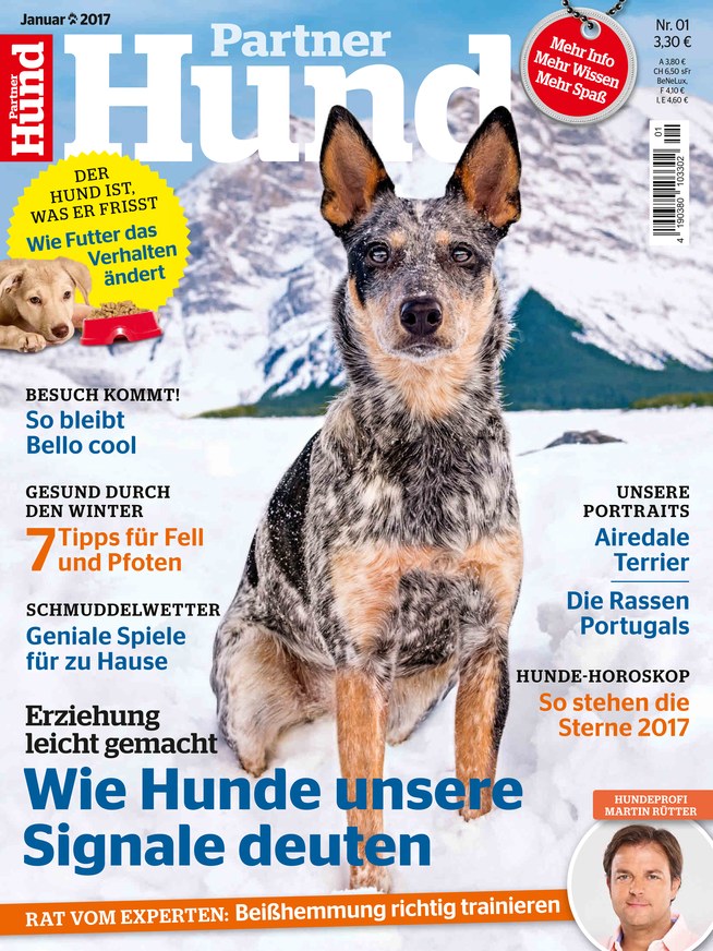 Partner Hund Zeitschrift als ePaper im iKiosk lesen