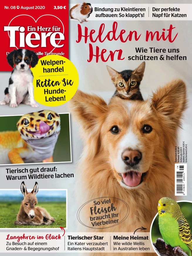 Ein Herz für Tiere vom 24.07.2020 – als ePaper im iKiosk lesen