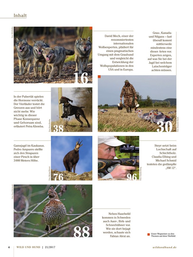 Wild und Hund Zeitschrift als ePaper im iKiosk lesen