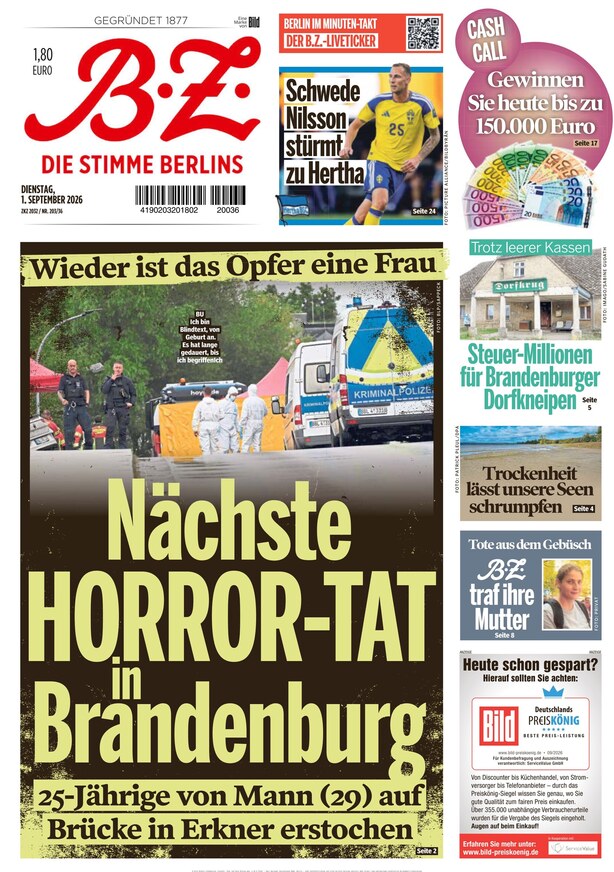 B.Z. - ePaper
