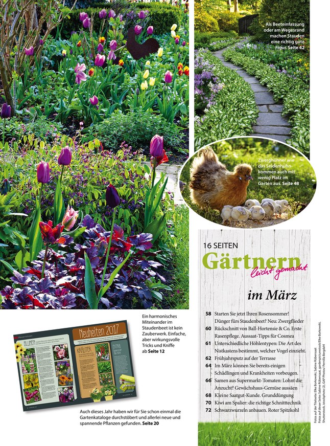 GartenFlora - Zeitschrift als ePaper im iKiosk lesen