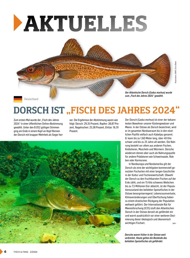 FISCH-TOOLS 2022 - ehbeta, Daumenkino PDF Online