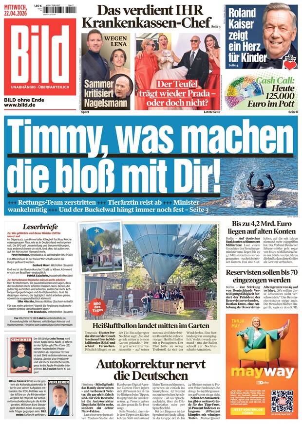 BILD - ePaper