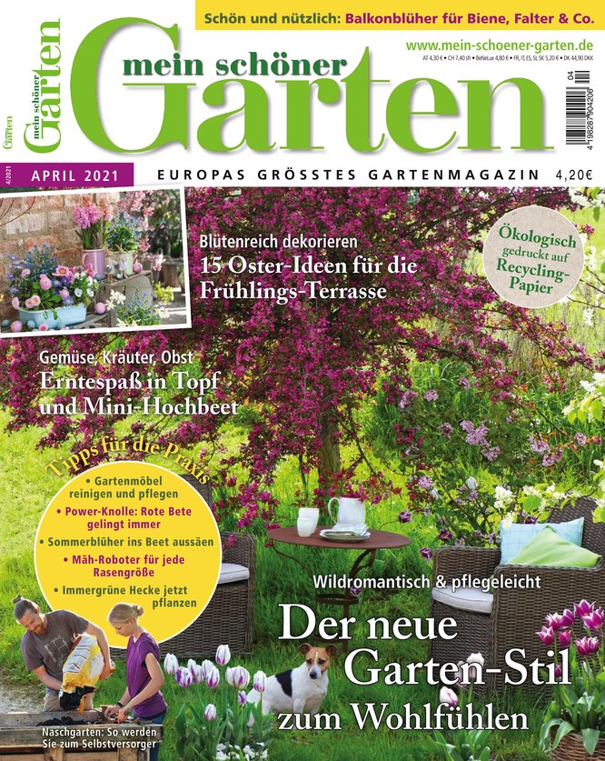 Mein Schoner Garten Zeitschrift Als Epaper Im Ikiosk Lesen