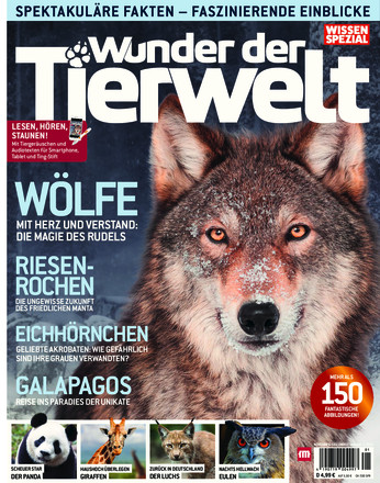 Wunder der Tierwelt