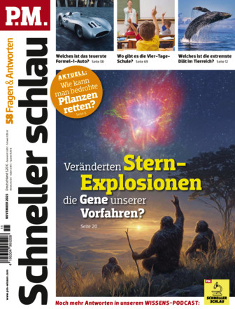 P.M. SCHNELLER SCHLAU - Fragen & Antworten