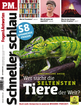 P.M. SCHNELLER SCHLAU - Fragen & Antworten - ePaper