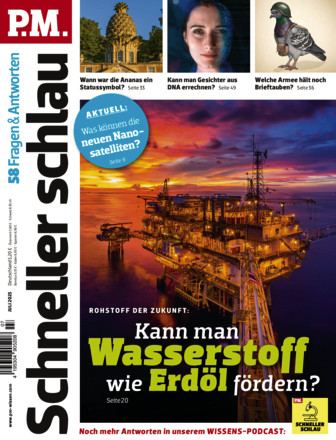 P.M. SCHNELLER SCHLAU - Fragen & Antworten