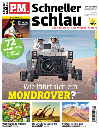 P.M. SCHNELLER SCHLAU - Fragen & Antworten