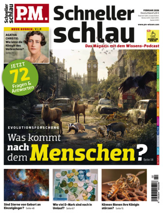 P.M. SCHNELLER SCHLAU - Fragen & Antworten