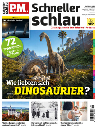 P.M. SCHNELLER SCHLAU - Fragen & Antworten