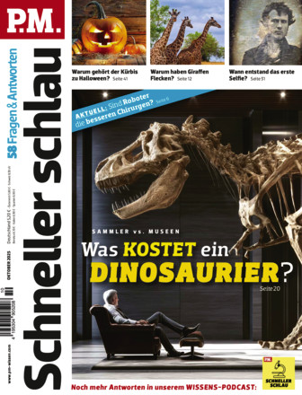 P.M. SCHNELLER SCHLAU - Fragen & Antworten
