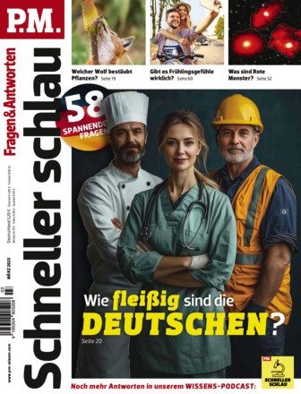 P.M. SCHNELLER SCHLAU - Fragen & Antworten - ePaper