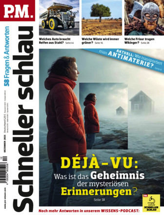 P.M. SCHNELLER SCHLAU - Fragen & Antworten