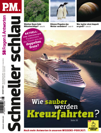 P.M. SCHNELLER SCHLAU - Fragen & Antworten