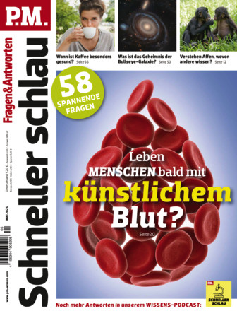 P.M. SCHNELLER SCHLAU - Fragen & Antworten
