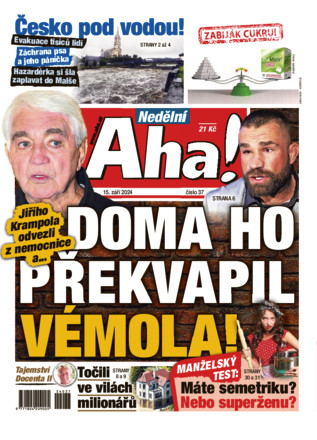 Nedělní Aha! - ePaper