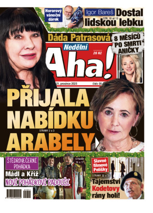 Nedělní Aha! - ePaper