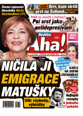 Nedělní Aha! - ePaper