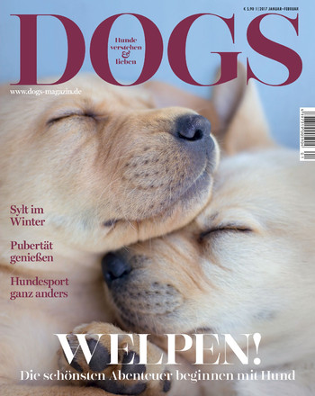 Dogs - ePaper;