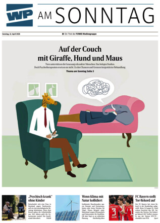 WP am SONNTAG
