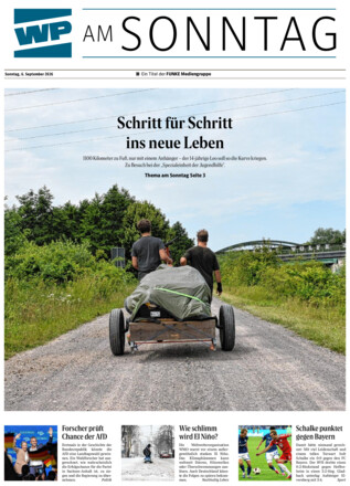 WP am SONNTAG