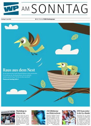 WP am SONNTAG