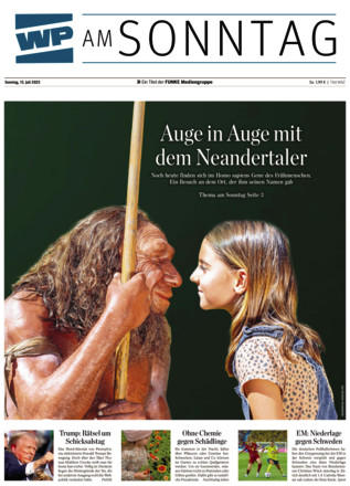 WP am SONNTAG