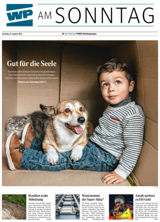 WP am SONNTAG