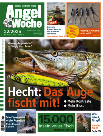 Angel Woche