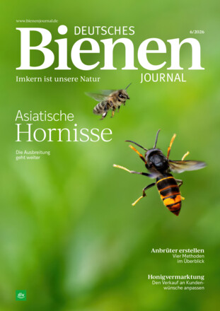 Deutsches Bienen-Journal