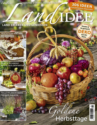 LANDIDEE - ePaper