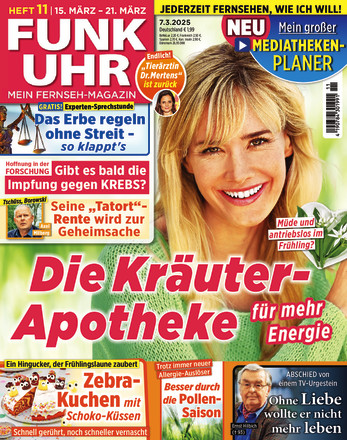 Funk Uhr - ePaper