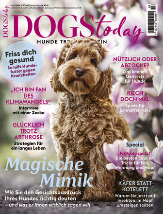 DOGS Today - ePaper