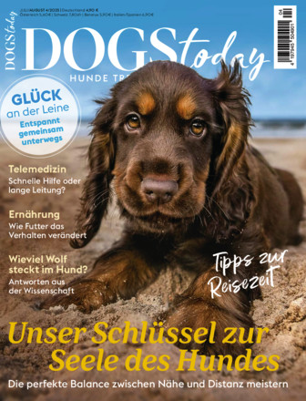 DOGS Today
