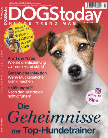 DOGS Today
