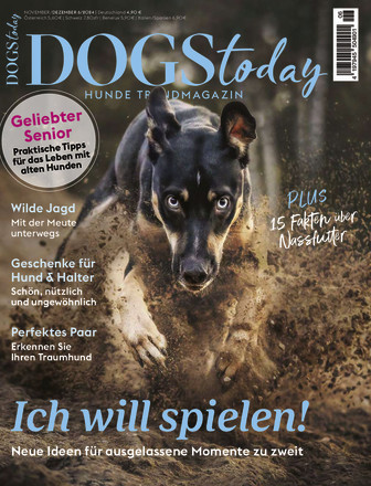 DOGS Today - ePaper