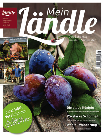 Mein Ländle  - ePaper