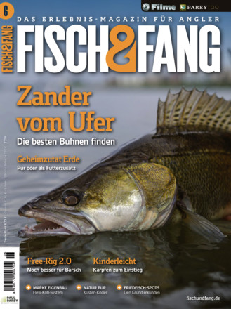 FISCH & FANG