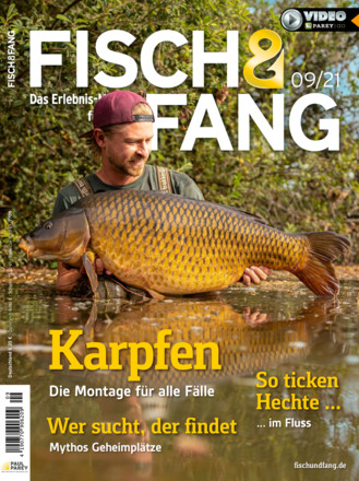FISCH & FANG - ePaper;