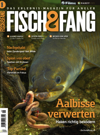 FISCH & FANG