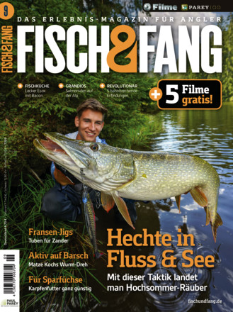 FISCH & FANG