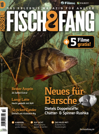 FISCH & FANG