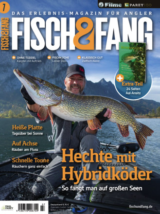 FISCH & FANG