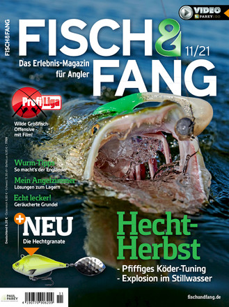 FISCH & FANG - ePaper;