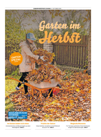 Kraichgau Stimme