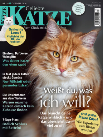 Geliebte Katze