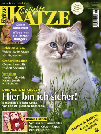 Geliebte Katze