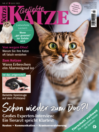 Geliebte Katze