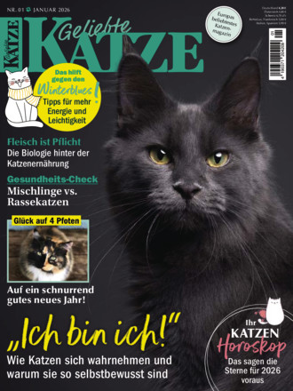 Geliebte Katze